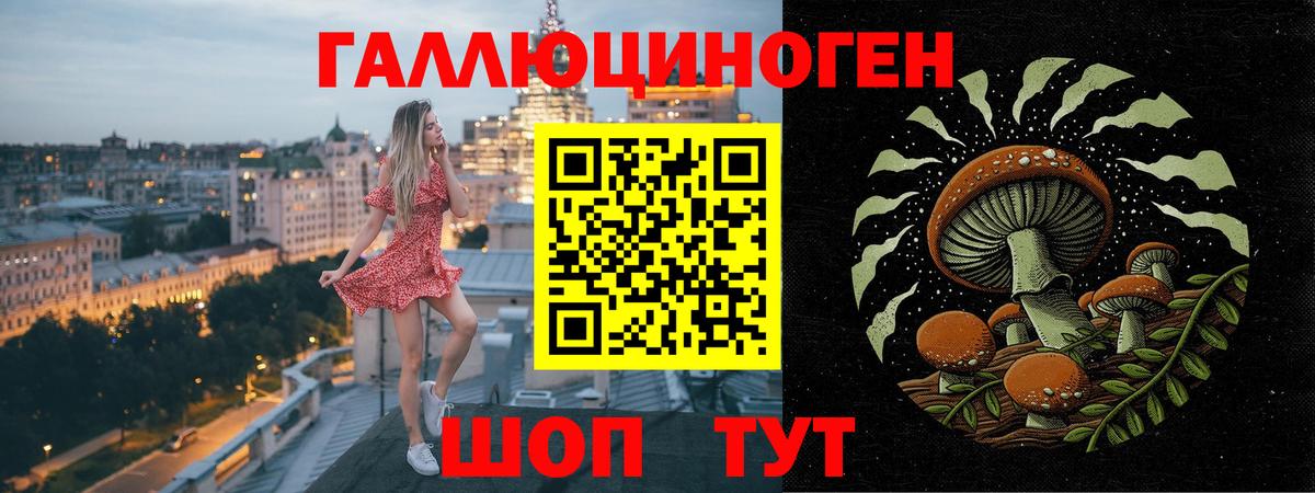 Галлюциногенные грибы GOLDEN TEACHER Моздок